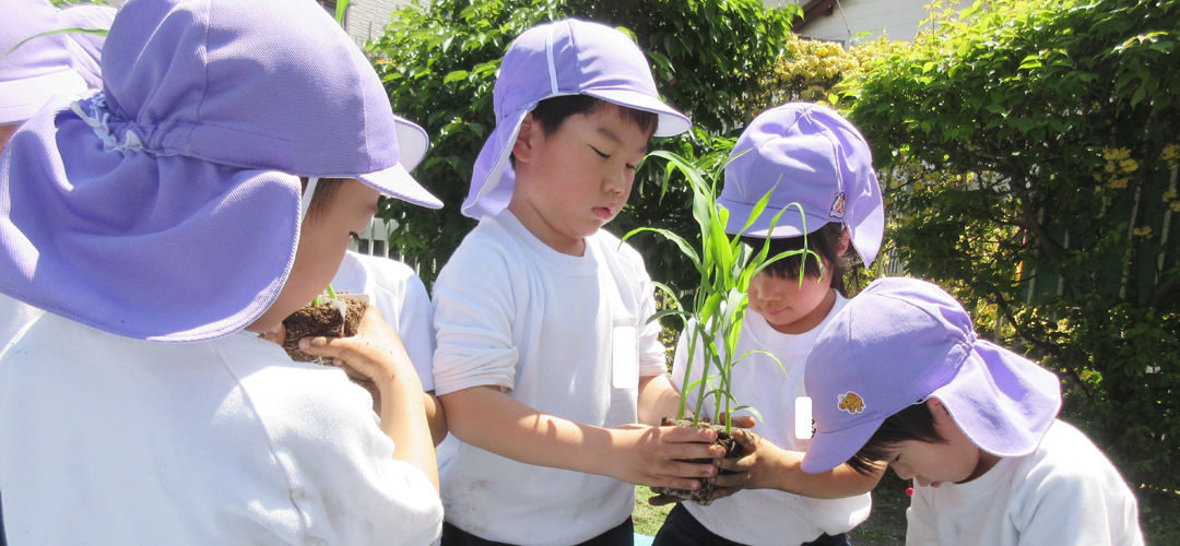 子育て支援・地域開放