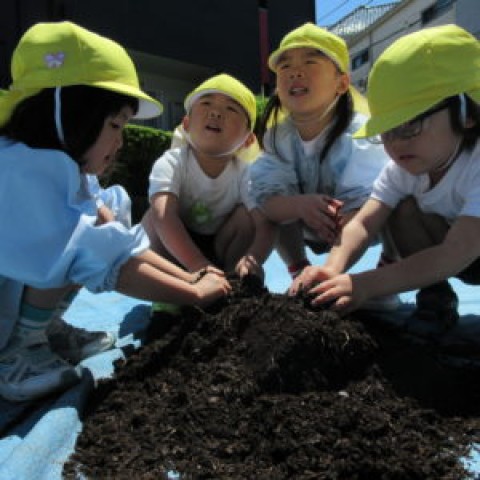 野菜の苗を植えたよ。サムネイル