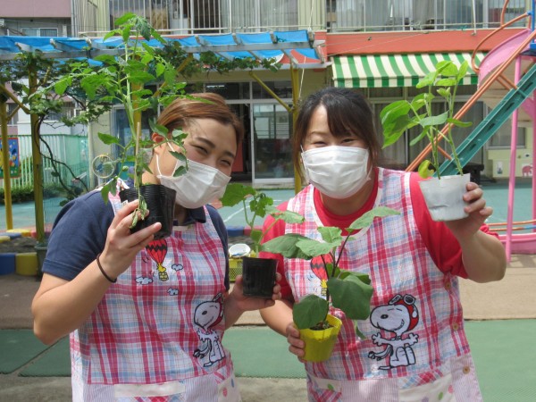 野菜の苗を植えたよ！サムネイル