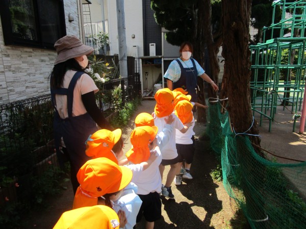 ふじだなっこの今日の1日（4月17日）サムネイル