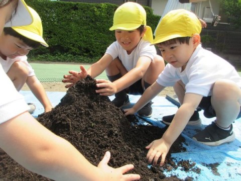 プランターに野菜🍅（5月～7月）や球根🌷（10月～4月）を植えて・育てます😊サムネイル