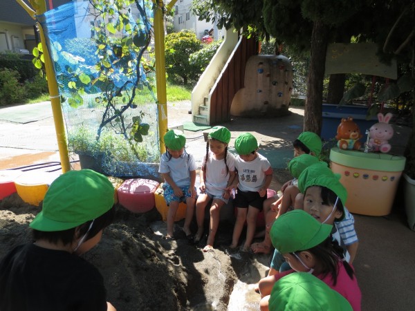 今夏、最後の泥んこ遊びを楽しみました♫～（小桜組）サムネイル