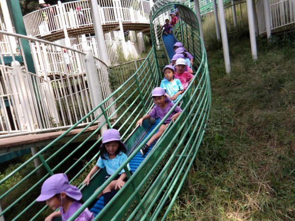 秋の遠足に行きました（藤組・菊組）サムネイル