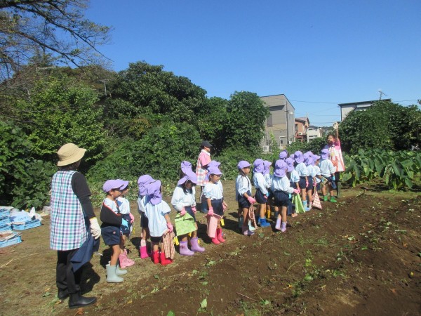 お芋をほったよ(^^♪～（藤組）サムネイル