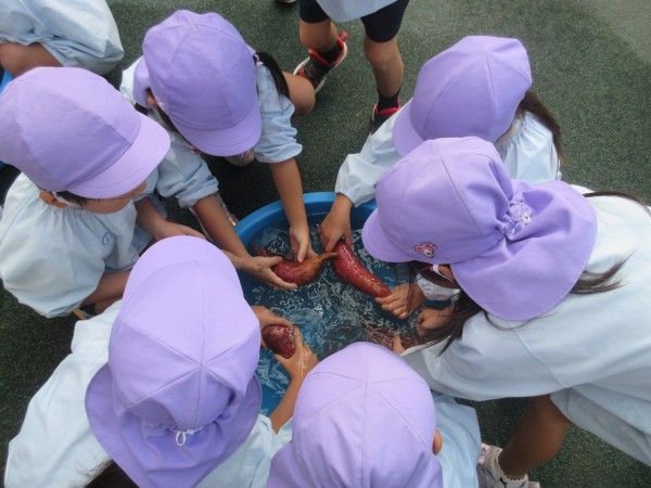 藤組さんが焼き芋をつくってくれました(^^♪～サムネイル